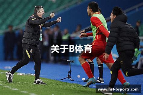 辅助工具 完美体育